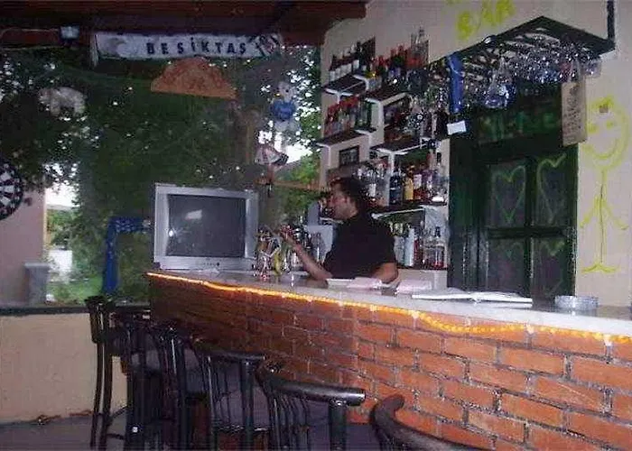 Ozalp 3* Дальян